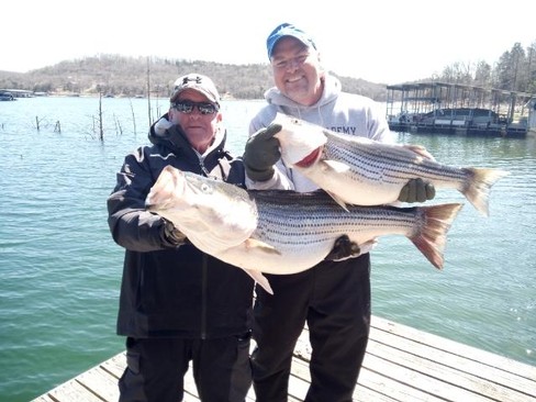 Nice Striped Bass